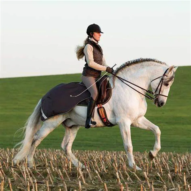 Horseware Amigo Competition Exercise Sheet - Chocolate/Chocolate/Cream